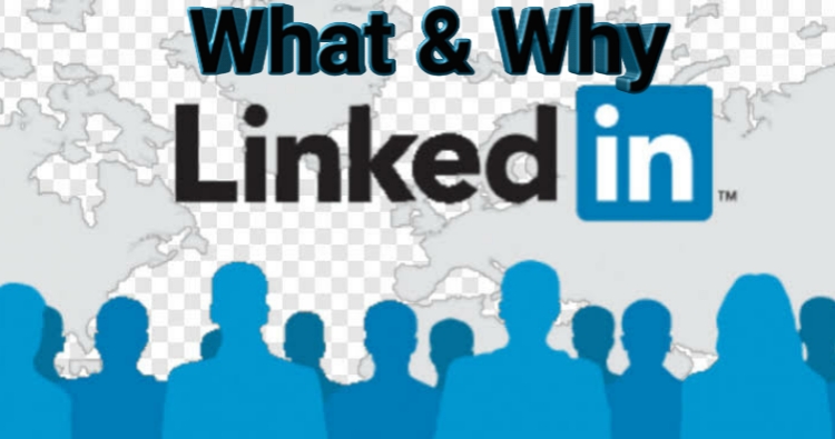 LinkedIn : প্রফেশনালদের সমাজ